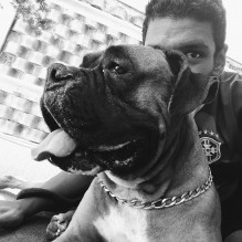 Felipe