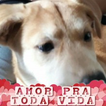 Adriano Denise