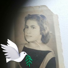 Alzira de Freitas