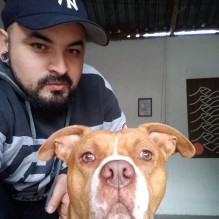 Elvis