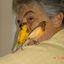 Archimedes Waldvogel