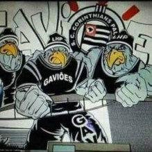 Gavi�o