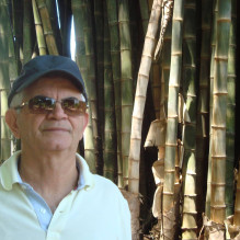NILBERTO