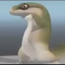 farofa