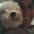 Josiane