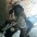 Leandro