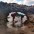 Carlos