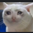 Foto do perfil de Ruan