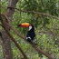 Foto do perfil de Marcelo