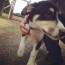 Foto do perfil de Thiago