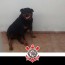Foto do perfil de EL