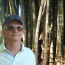 Foto do perfil de NILBERTO