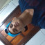 Foto do perfil de Marcelo