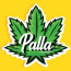 Foto do perfil de Palla