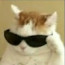 Foto do perfil de Tobazinho69