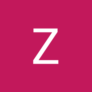 Zap Burgers