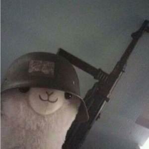 um bugado