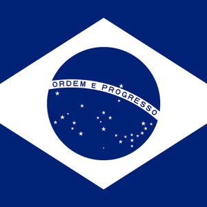 A SAGA DOS PATOS