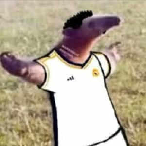 Lucas