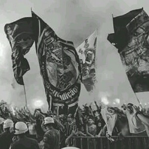 Alvinegro