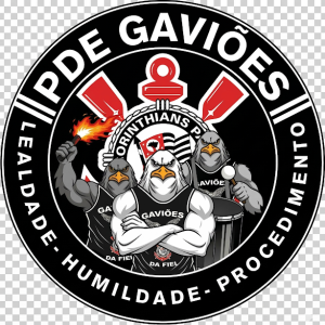 pdegavioes