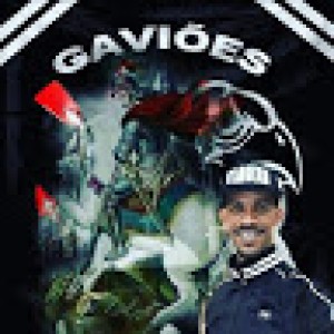 Renato Da Silva Assis Negreiro