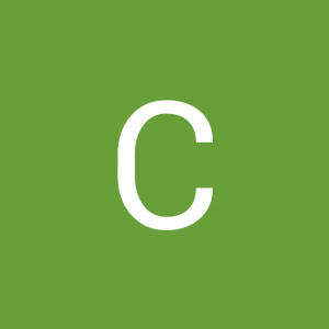 Cris Ferreira
