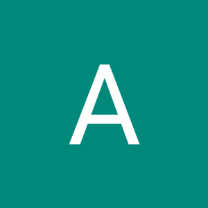Andre AJS