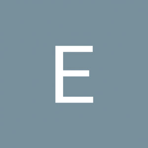 Evanir Arns