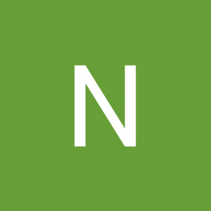 Nelson Albernaz