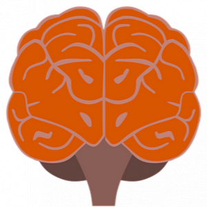 Student Medicine