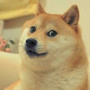 Doge_Supremo