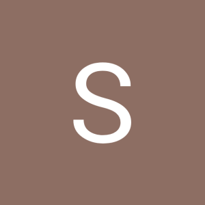 S�rgio Henrique Lins