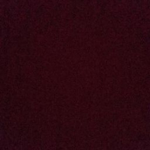 Vin�cius Cariagas