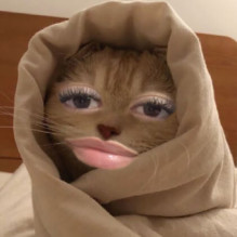 Brendha