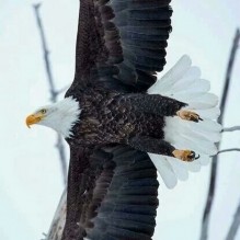 Julio