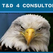 TD4 Consultoria