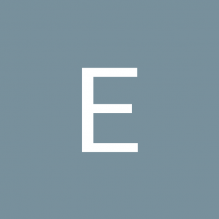 Evanir Arns