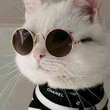 Carlos Daniel