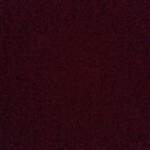 Vin�cius Cariagas
