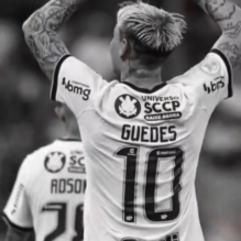 Riquelme Ribeiro