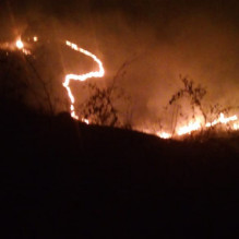 Denio Norberto