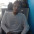 Foto do perfil de Lucas Ortunes Lima