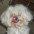 Suzane de C�ssia