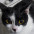 Foto do perfil de Lobbydon