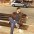 F�bio Ayub Brasil