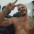 Rogerio Alberto Souza