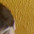 Foto do perfil de Luiz Felipe Sabbagh
