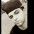 Jonatas Morais