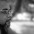Silvaldo Fran�a